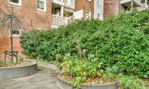 Plantilla Blogs eltubo cmplastik noa 2